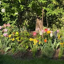 Proiect grădină Hortipro