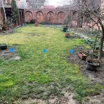 Gazon și vegetație ornamentală