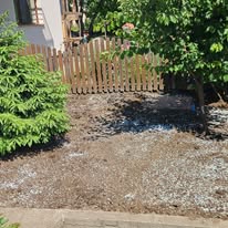 Grădină cu plante structurate